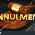 stock-photo-annulment-legal-gavel-concept-d-illustration-717442723